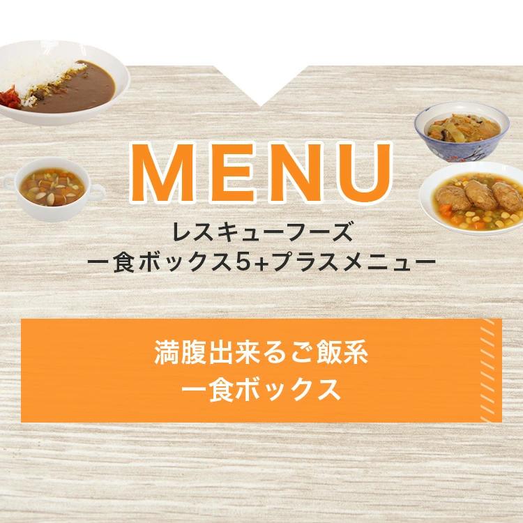 レスキューフーズ 一食ボックス5+プラス 非常食 非常食セット 保存食