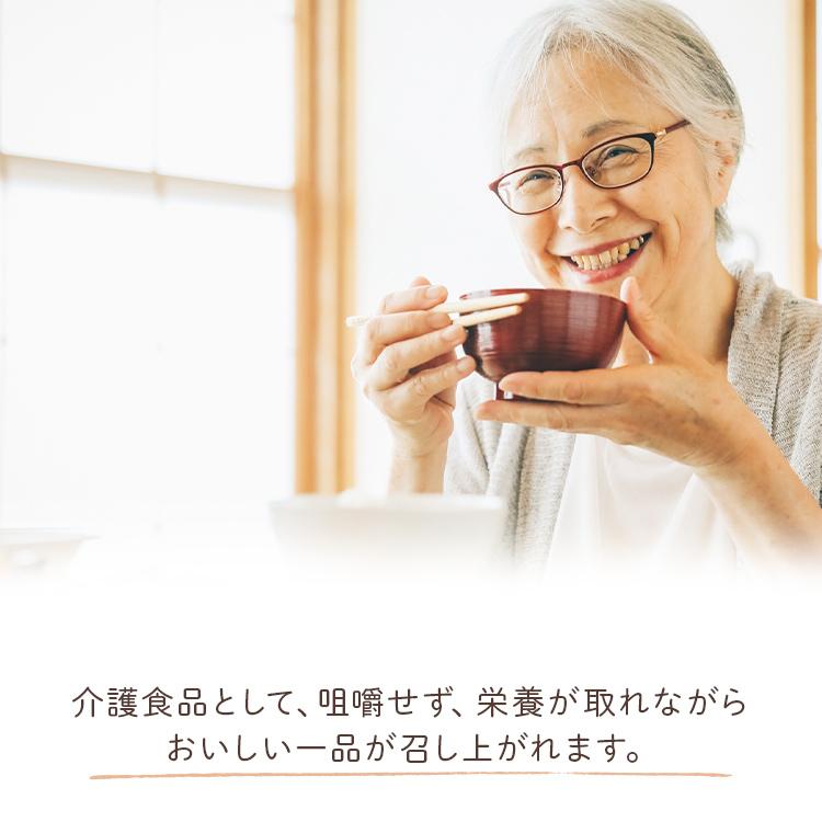 栄養支援スープお試しセット6 介護食 セット ホリカフーズ おいしい