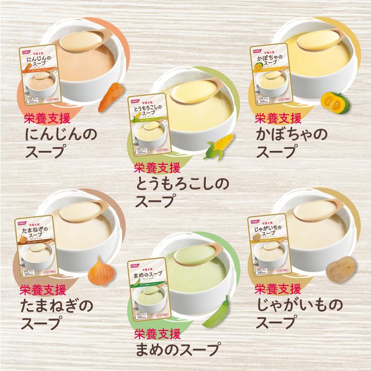 栄養支援スープお試しセット6 介護食 セット ホリカフーズ おいしい