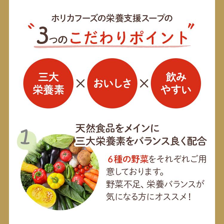 栄養支援スープお試しセット6 介護食 セット ホリカフーズ おいしい