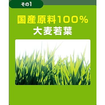 伊藤園　毎日1杯の青汁 まろやか豆乳ミックス 20包入１箱 | 伊藤園 | 03