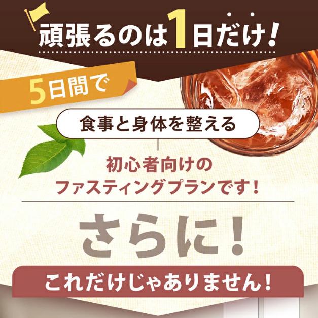 ファスティング セット 5日間 酵素ドリンク 490ml 麹ミール 準備食
