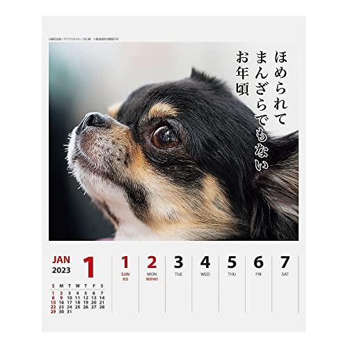 2023年 チワワ川柳(週めくり) カレンダー 1000123651|reshishop|02