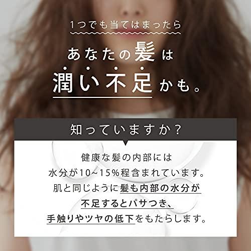 SALONIA（サロニア） アウトレット トリートメントミストドライヤー