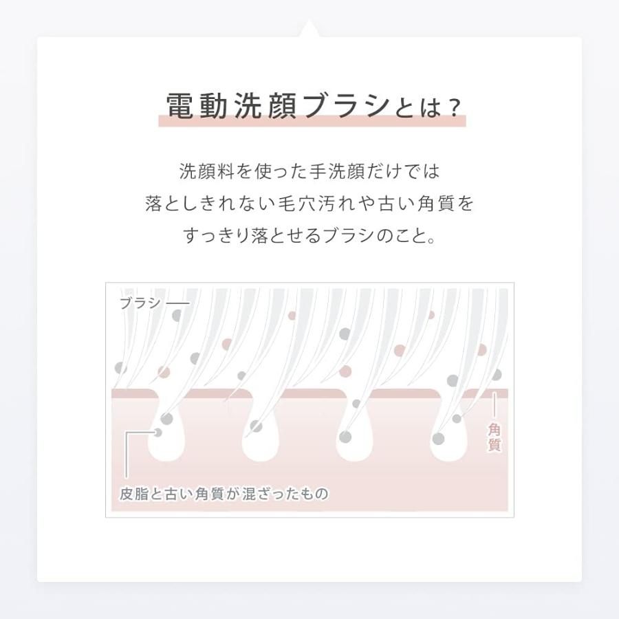 訳あり サロニア イオンフェイシャルブラシ \u0026 洗顔フォームセットの画像