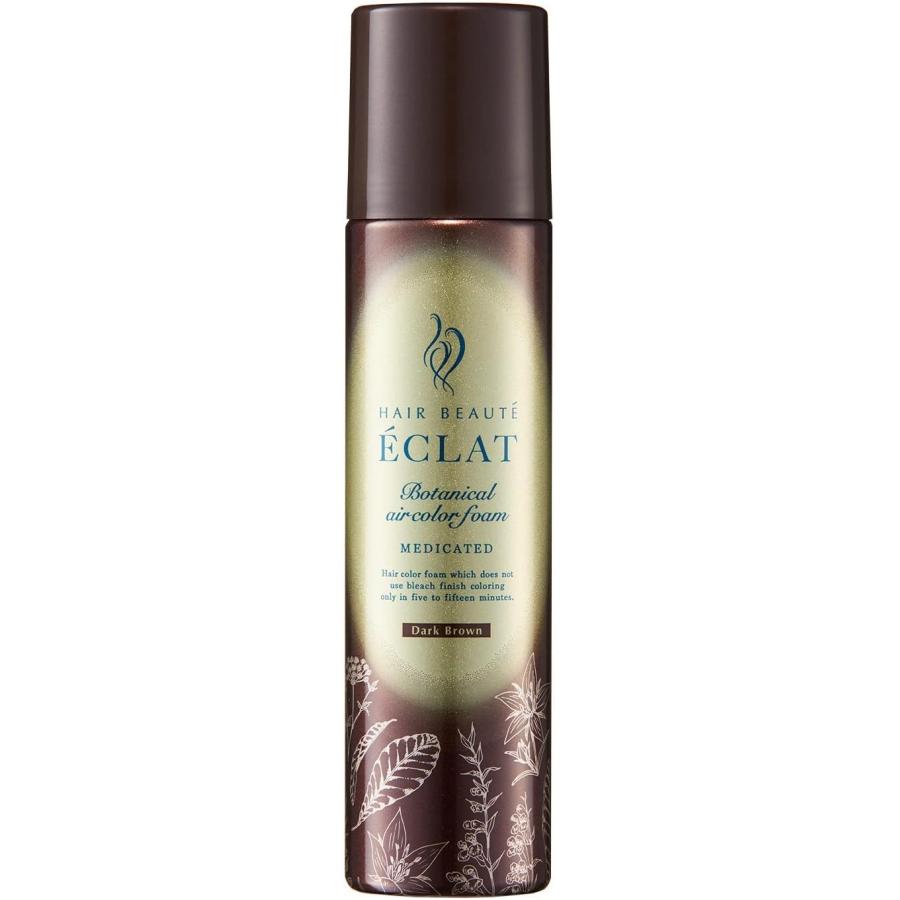 大容量 ヘアボーテエクラ ボタニカル エアカラーフォーム EX ダーク