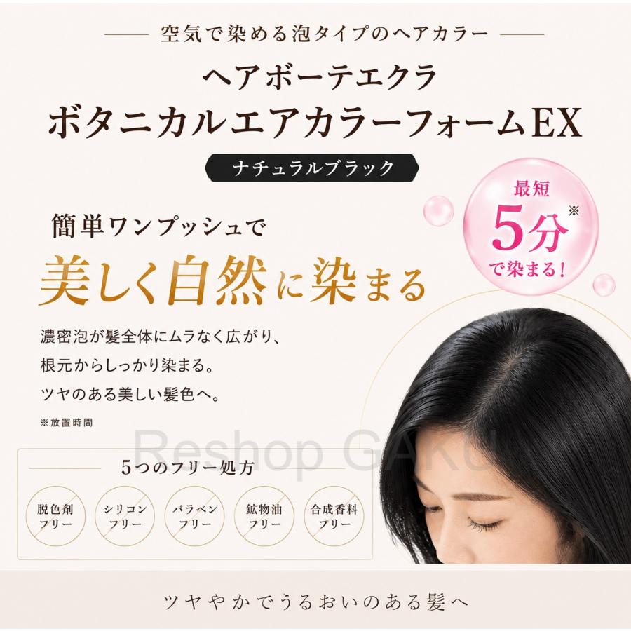 ヘアボーテエクラ ボタニカル エアカラーフォーム EX ナチュラル