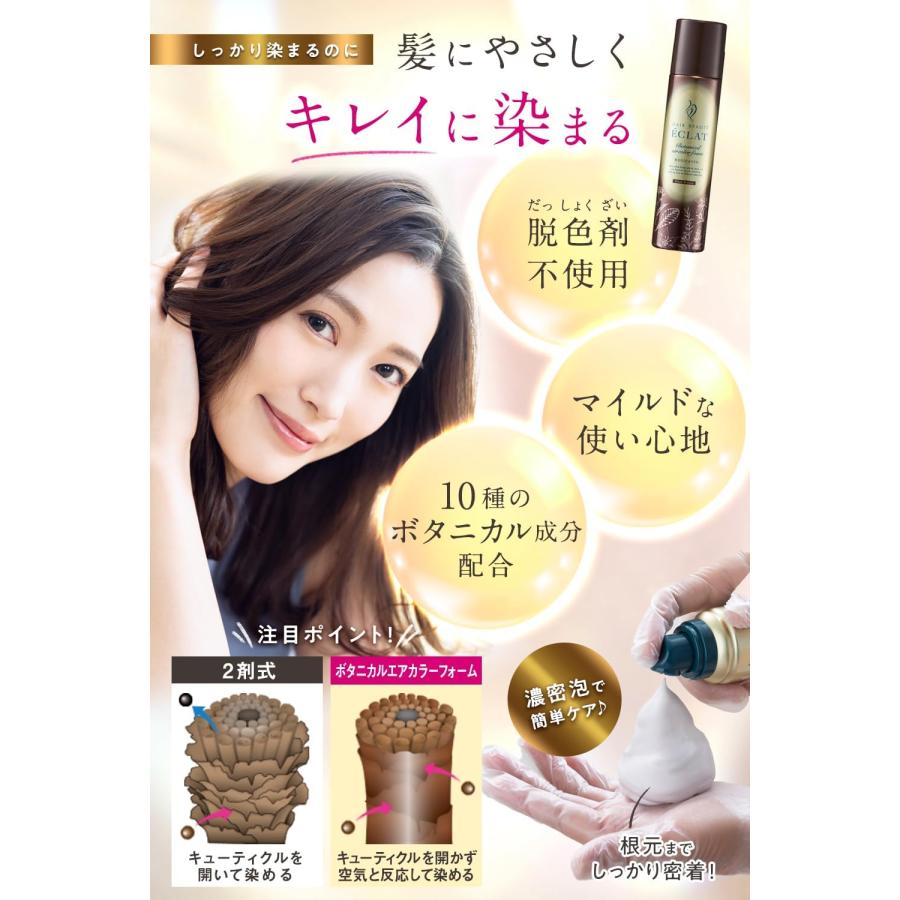 ヘアボーテエクラ ボタニカル エアカラーフォーム EX ダークブラウン