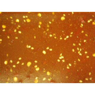 愛々堂　　松坂のたれ　中辛　２３０グラム |  | 01