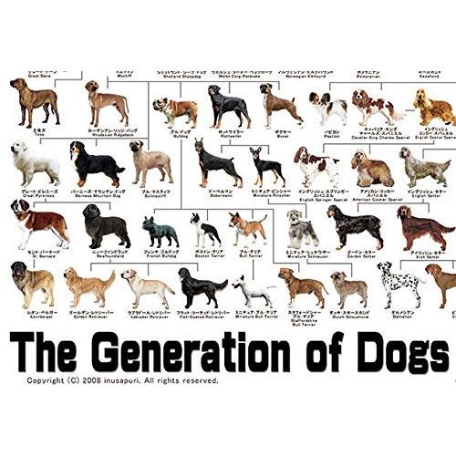 犬の系統図 最新版 A1サイズ The Generation Of Dogs Harulzp0txa レジリエンスストア Yahoo 店 通販 Yahoo ショッピング