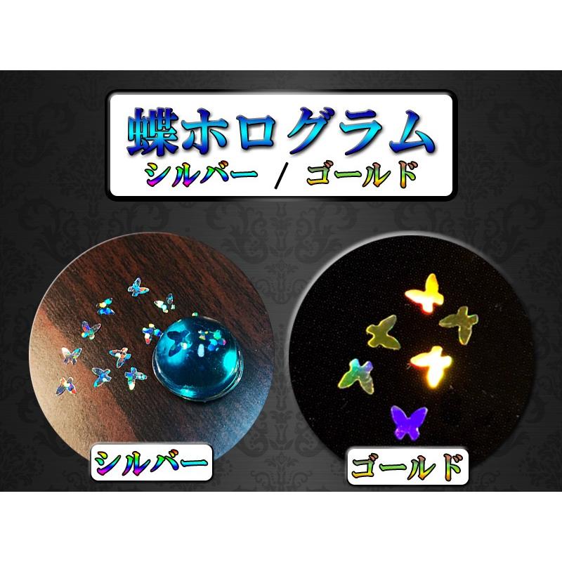 蝶々ホログラム(S/G)☆ 日本製 レジン 蝶オーロラ バタフライ : レジン