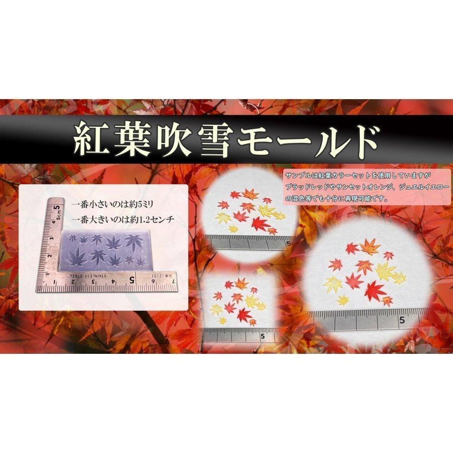 レジン道 マイクロモールド ☆ 紅葉 桜花 雪の結晶 UVレジン : レジン