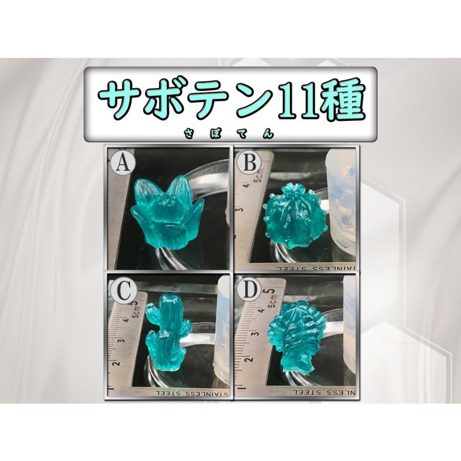 サボテンモールド レジン道 サボテンモールド全11種☆レジン シリコンモールド 透明