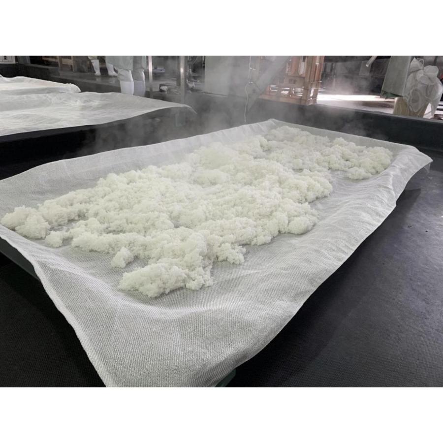 《本数限定醸造》西尾の息吹を込めて。リンクスオリジナル日本酒「Q（キュウ）3本セット《純米大吟醸二割九分＋磨き二割九分スパークリング＋純米大吟醸生酒》」 |  | 01