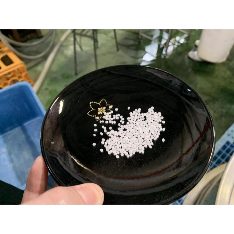 《本数限定醸造》西尾の息吹を込めて。リンクスオリジナル日本酒「Q（キュウ）3本セット《純米大吟醸二割九分＋磨き二割九分スパークリング＋純米大吟醸生酒》」 |  | 05