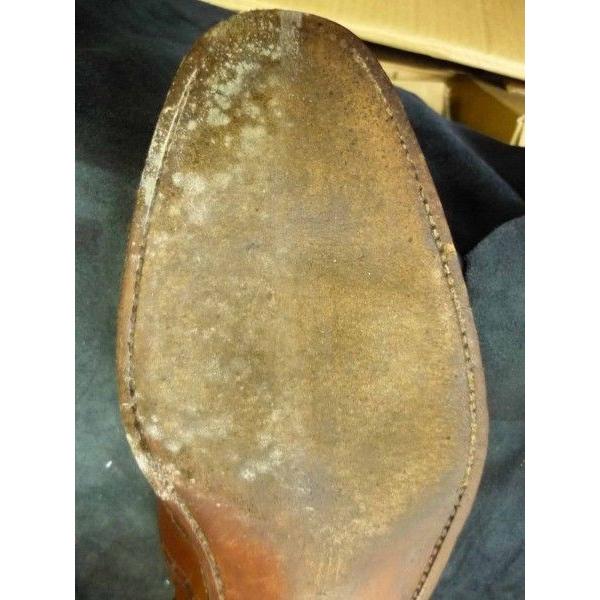 【1/15 23:59までポイント3倍】カビ対策 M.MOWBRAY モールドクリーナーラージ 予防＆除去 靴 手入れ 梅雨対策対象商品 | M.MOWBRAY | 02