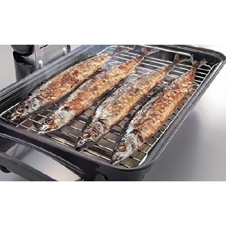 Zojirushi America EF-VPC40 Fish Roaster, Metallic Gray by