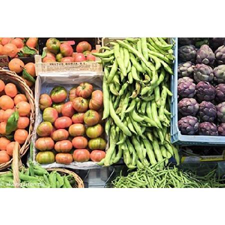 【中古品 】 TAMRON 単焦点レンズ SP45mm F1.8 Di VC キヤノン用 フルサイズ対応 F013E 【1478400446】(53284円)