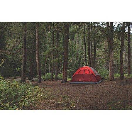 Coleman Flatwoods II ドーム型テント 4人用 Coleman Flatwoods II 4-Person Lightweight Dome Camping Tent