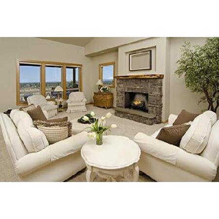 ブランド Dimplex Revillusion 20インチ電気暖炉ログセット（RLG20） 【WS1168645785】(42120円)