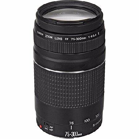 キャノンEF 75-300mm f/4-5.6 III 望遠ズームレンズ 値引セール カメラ