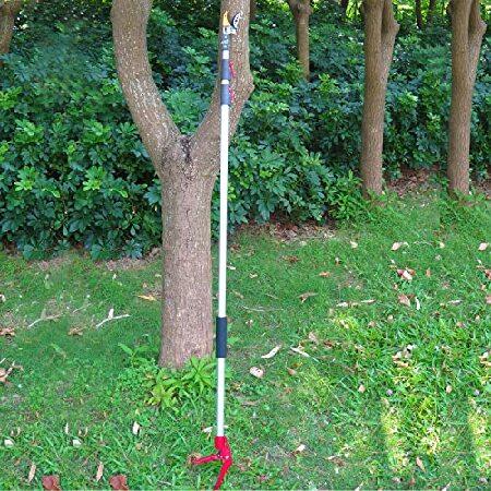 オンライン質屋 Mesoga 4.6-10 Foot Extendable Tree Pruner， Cut and Hold Pruning Trimmer， Long Reach Pole Saw， Telescoping Fruit Picker， Branches Bypass Lopper