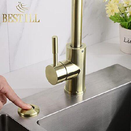 BESTILL　SinkTop　Garbage　Disposal　Outlet,　Air　(Long　with　Gold　Cover)　Kit　Switch　Dual　Brass　with　Button　Brushed