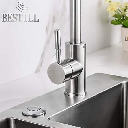 BESTILL　Sink　Top　Brushed　Garbage　AIr　Kit-Brushed　and　Nickel　Switch　Disposal　Gold　Long　Button