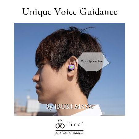 中古品 Final Audio True Wireless Earbuds Bluetooth Headphones with Charging Case. Earphones with Built-in Mic and Hands Free Touch Controls for iPhone ＆ And