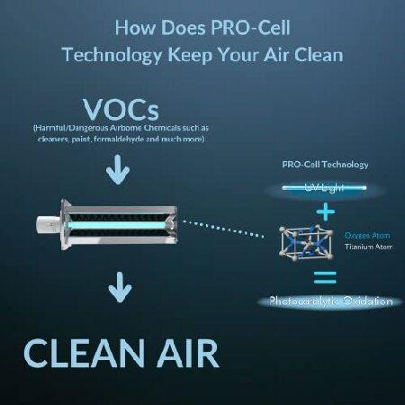 新品本物  Air Health Haven Plus HVAC Air Purifier， Powerful 16 Uvc Lamp， Pco ＆ Carbon Filters， Reduces Germs， Vocs， Odors， Diy Install In As Little As 15 Minu