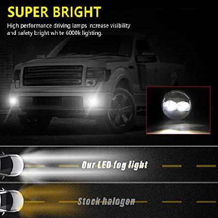 RAMJET4X4 LEDフォグライトアセンブリ 2006 2007 2008 2009 2010 2011 2012 2013 2014 F150 F-150 フロントバンパードライビングフォグランプ交換キット(ペア)の画像