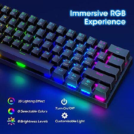 品質重視 Pauroty 60% Wireless Mechanical Gaming Keyboard， RGB Backlit Mini Portable Bluetooth Keyboard with Clicky Blue Switches， 61 Keys Compact Keyboard for