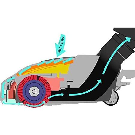 Cen-Tec　Systems　97151　Dual　Vacuum　Ft.　Electric　Kit　Powerhead　Pigtail　w,　with　Central　Mixed-Floor　Hose,　35　Black