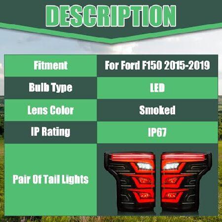 letsdate LEDテールライト フォード F-150 2015-2020用 テールライトアセンブリ フォードF150 テールライト改造アクセサリー ラプターリアランプ交換アクセサリ_2