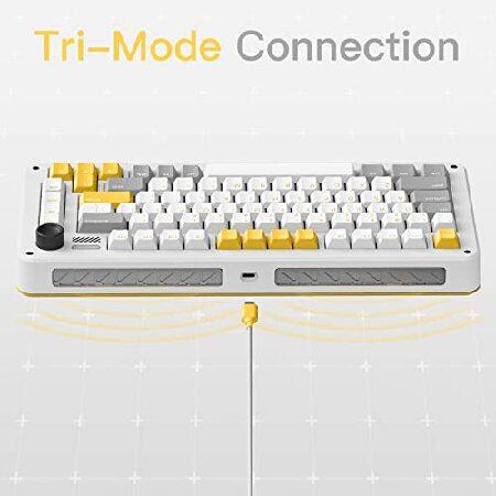 IQUNIX ZX75 キーボード ワイヤレス Cherry青軸