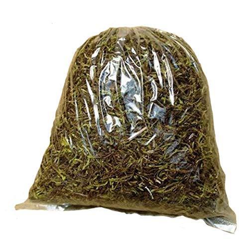 スナゴケ 砂苔 まきゴケ用 500g 苔 グランドカバー 苔庭 テラリウム 盆栽 その他苗木 植木 Www Mantraman Com Mx