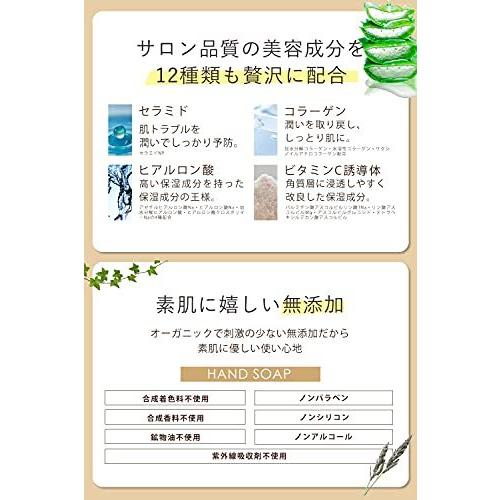 ハンドソープ 無添加 オルナ オーガニック 500ml 手荒れ 敏感肌 用 保湿 ハンドウォッシュ コラーゲン 3種類 ヒ A B06zzsgncm Reason Store 通販 Yahoo ショッピング