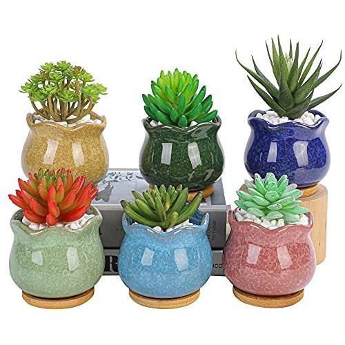 陶器製多肉植物寄せ植え鉢 水切り付きプランター 付属のソーサー 植物は含まれません アイスクラックル A B099jv4tm8 Reason Store 通販 Yahoo ショッピング