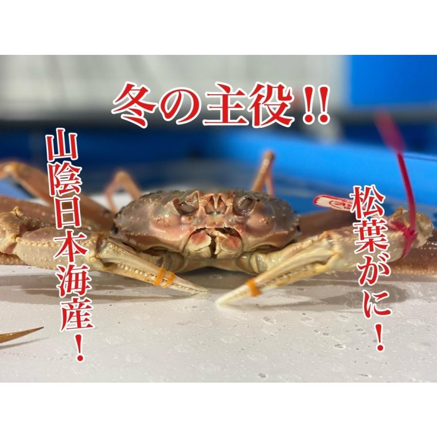 比較 活松葉がに 松葉ガニ カニ ズワイガニ 境港 タグ付 山陰日本海産ゆでがに 刺しがに 焼きがに 松葉蟹 かに お取り寄せ 贈り物 700gサイズ 1枚入り 送料無料 Kani 5 りすたむ Resterm 通販 Yahoo ショッピング 通常販売 Aman Org Np