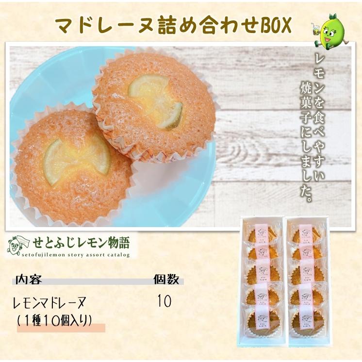 公式の スイーツ お菓子 マドレーヌ ケーキ お取り寄せ 贈り物 レモンの焼き菓子 10個セット 公式の スイーツ お菓子 マドレーヌ ケーキ お取り寄せ 贈り物 レモンの焼き菓子 10個セット