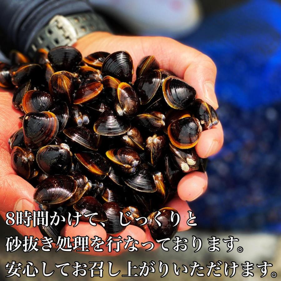 しじみ 冷凍しじみ シジミ Lサイズ2kg 500g×4パック 砂抜き処理済 島根県 宍道湖産 国産 お取り寄せ 産地直送 しじみ汁 送料無料｜resterm｜02