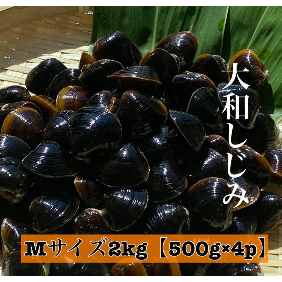 しじみ 冷凍しじみ シジミ Mサイズ2kg 500g×4パック 砂抜き処理済 島根県 宍道湖産 国産 お取り寄せ 産地直送 しじみ汁 レシピ付 送料無料 :shijimi-m-1kg:りすたむ resterm - 通販 - Yahoo!ショッピング しじみ 冷凍しじみ シジミ Mサイズ2kg 500g×4パック 砂抜き処理済 島根県 宍道湖産 国産 お取り寄せ 産地直送 しじみ汁 レシピ付 送料無料 :shijimi-m-1kg:りすたむ resterm - 通販 - Yahoo!ショッピング