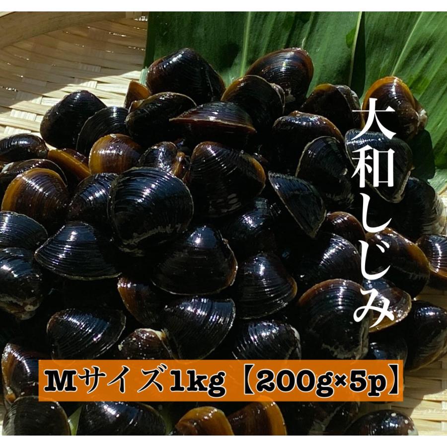 りすたむ Restermしじみ 冷凍しじみ シジミ Mサイズ 1kg 0g 5パック 島根県 宍道湖産 国産 砂抜き処理済 お取り寄せ 産地直送 しじみ出汁すまし汁 レシピ付 送料無料 売れ筋がひ贈り物