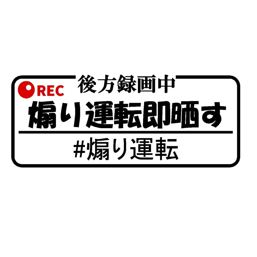 後方録画中 煽り運転即晒す 2色 ロゴ 大 カッティングステッカー Rogo Cutting Sticker Shop Restt 通販 Yahoo ショッピング