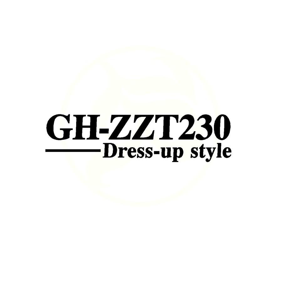 セリカ GH-ZZT230 GH-ZZT231 TA-ZZT230 TA-ZZT231 ドレスアップ