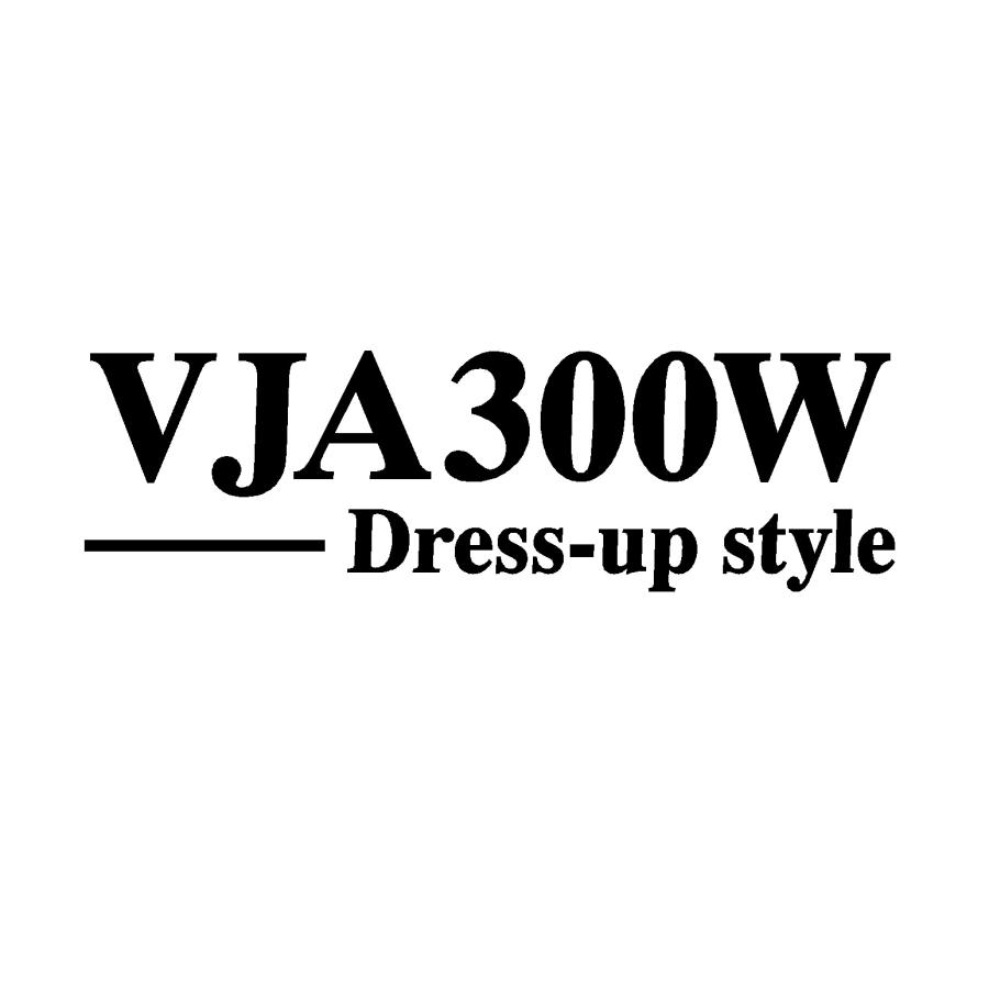 ランドクルーザー 300系 200系 100系 80系 ドレスアップスタイル ロゴ