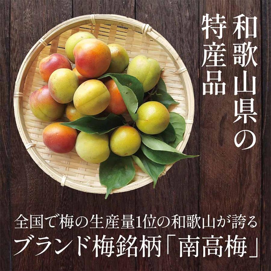 梅干し 白干し梅 紀州南高梅 無添加 400g 大粒 訳あり品 つぶれ梅 : 味