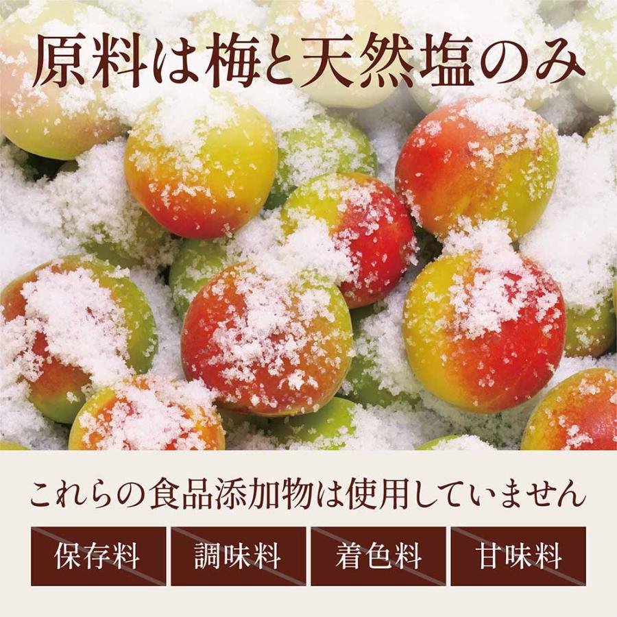 梅干し 白干し梅 紀州南高梅 無添加 400g 大粒 訳あり品 つぶれ梅 : 味