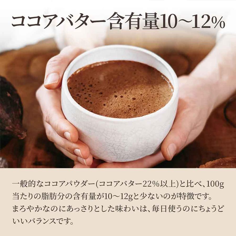 ココアパウダー 500g ココアバター10〜12% 砂糖不使用 香料無添加