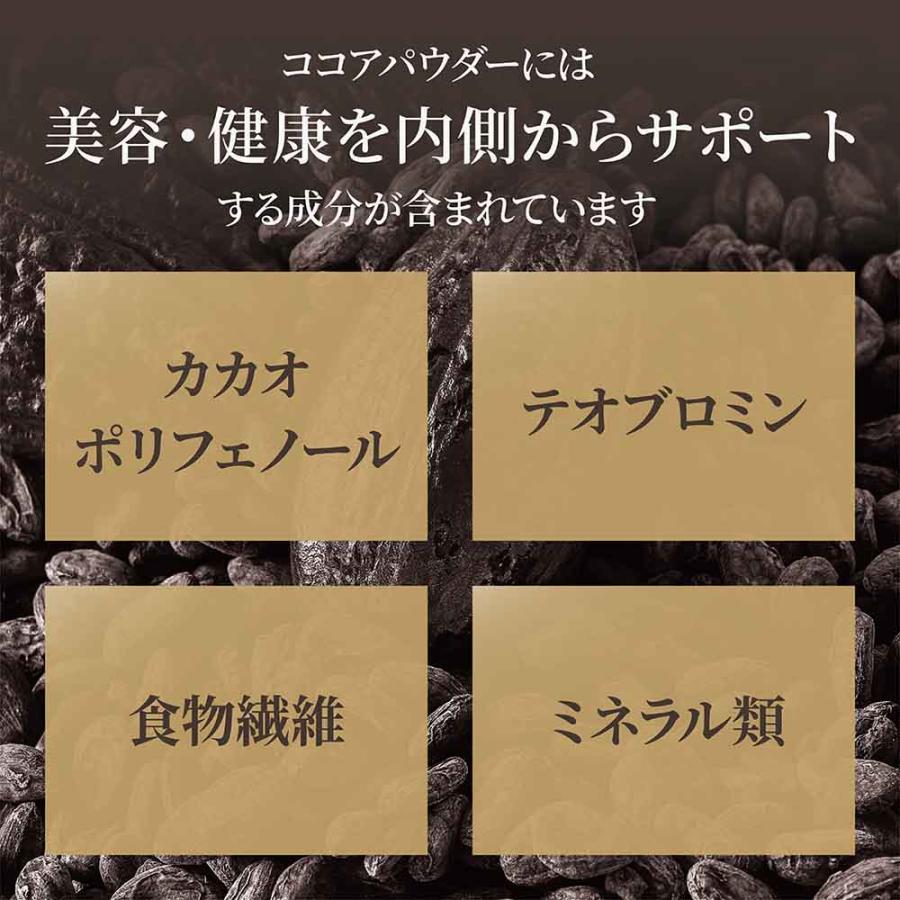 ココアパウダー 500g ココアバター10〜12% 砂糖不使用 香料無添加